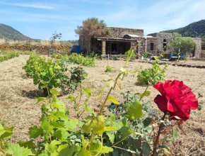 BIOdammuso Pantelleria